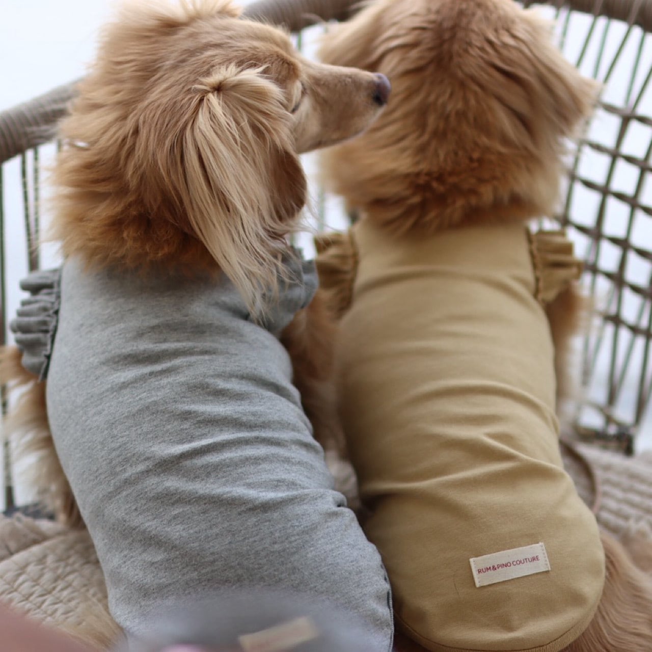 カットソー/フリル