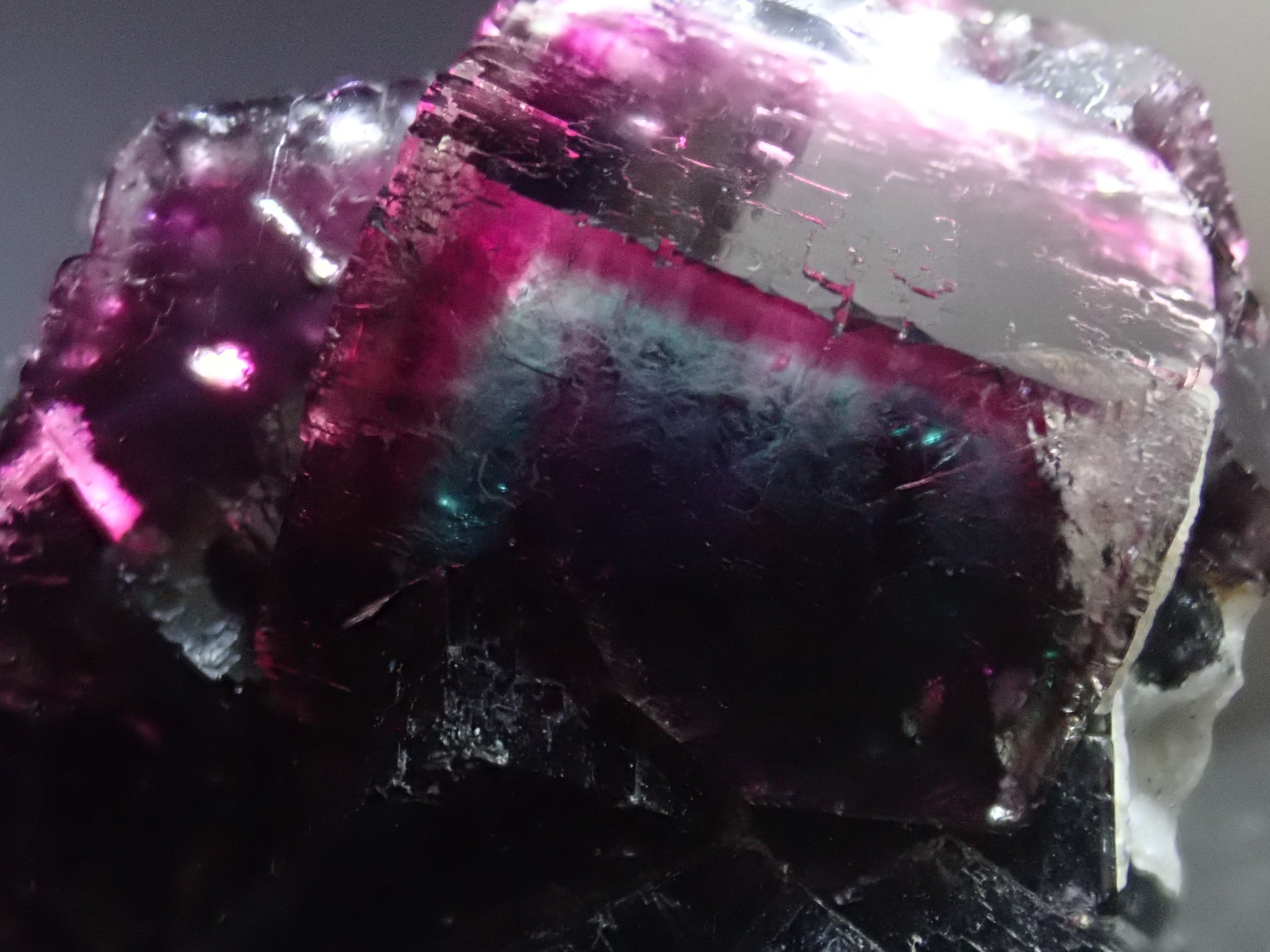 トリカラー】ゾーニング フローライト オコルス鉱山 原石 標本 | 石処