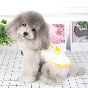 【PET】4色展開涼しさと可愛さを兼ね備えた配色キャミソール