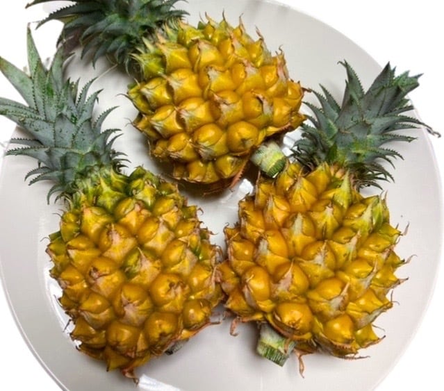 ADAN OKINAWA アダン沖縄 BASE店 沖縄熱帯フルーツ、島野菜、沖縄特産