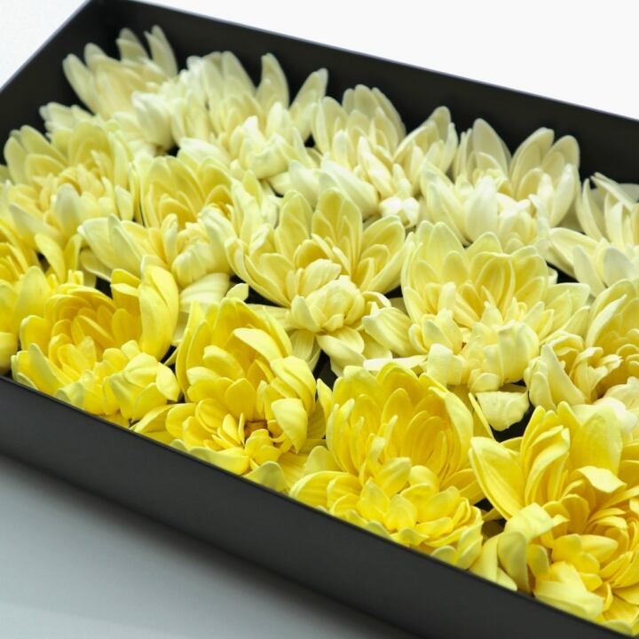 ダリアD-MIX1黄15輪