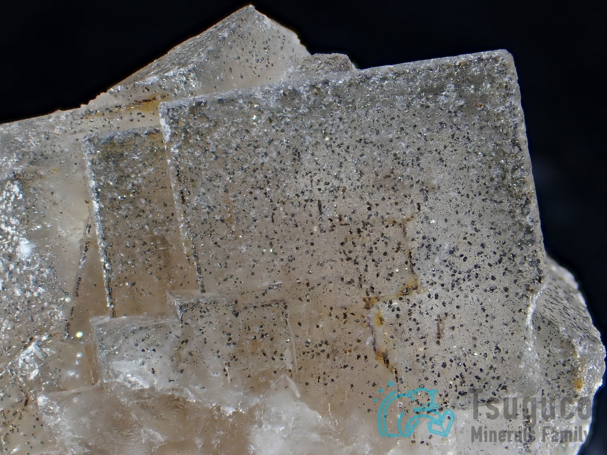 フローライト 蛍石 イギリス TM-646 Ex. George Fletcher Collection