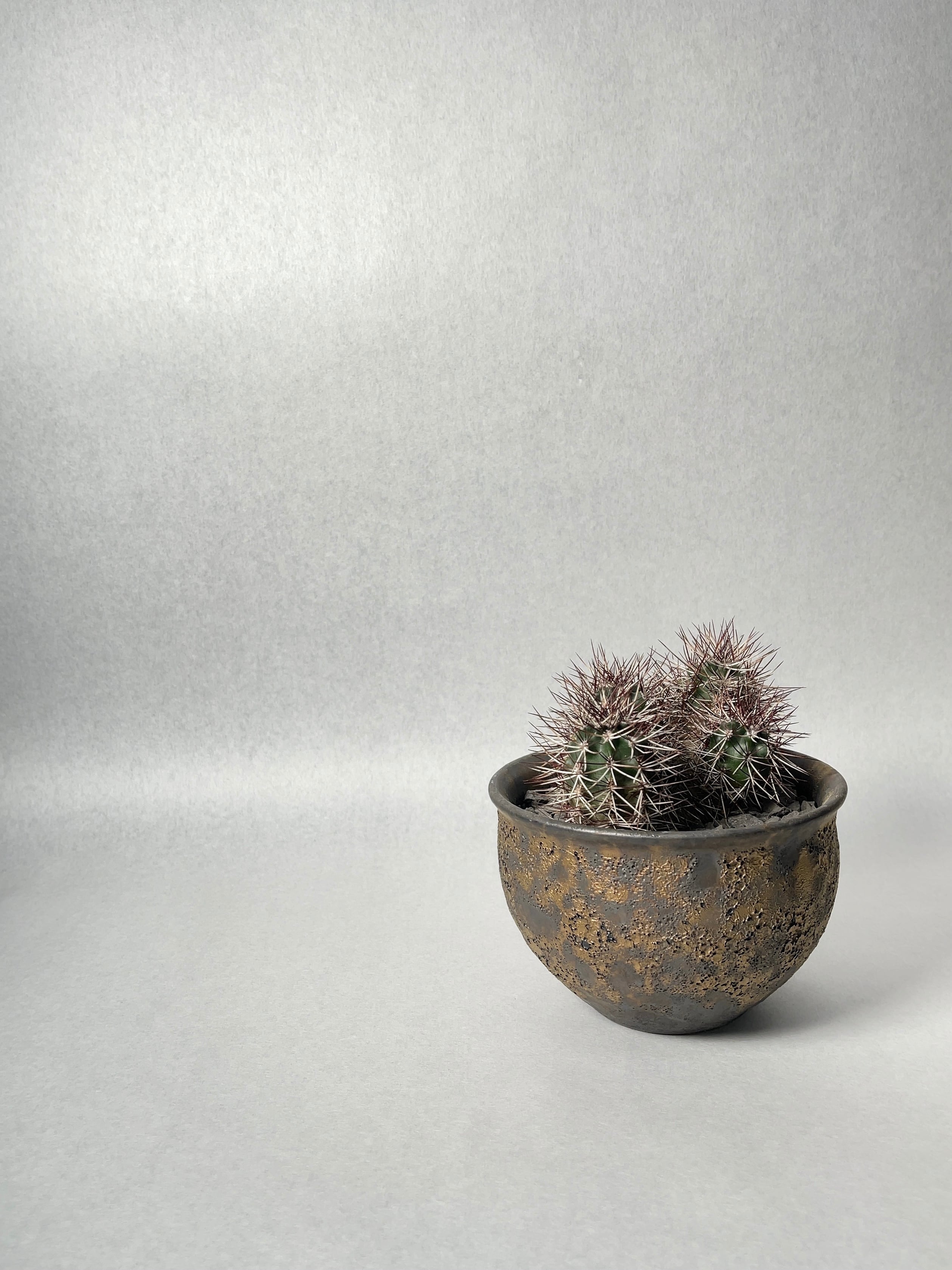 中川智治×trigger】ダビシー | trigger