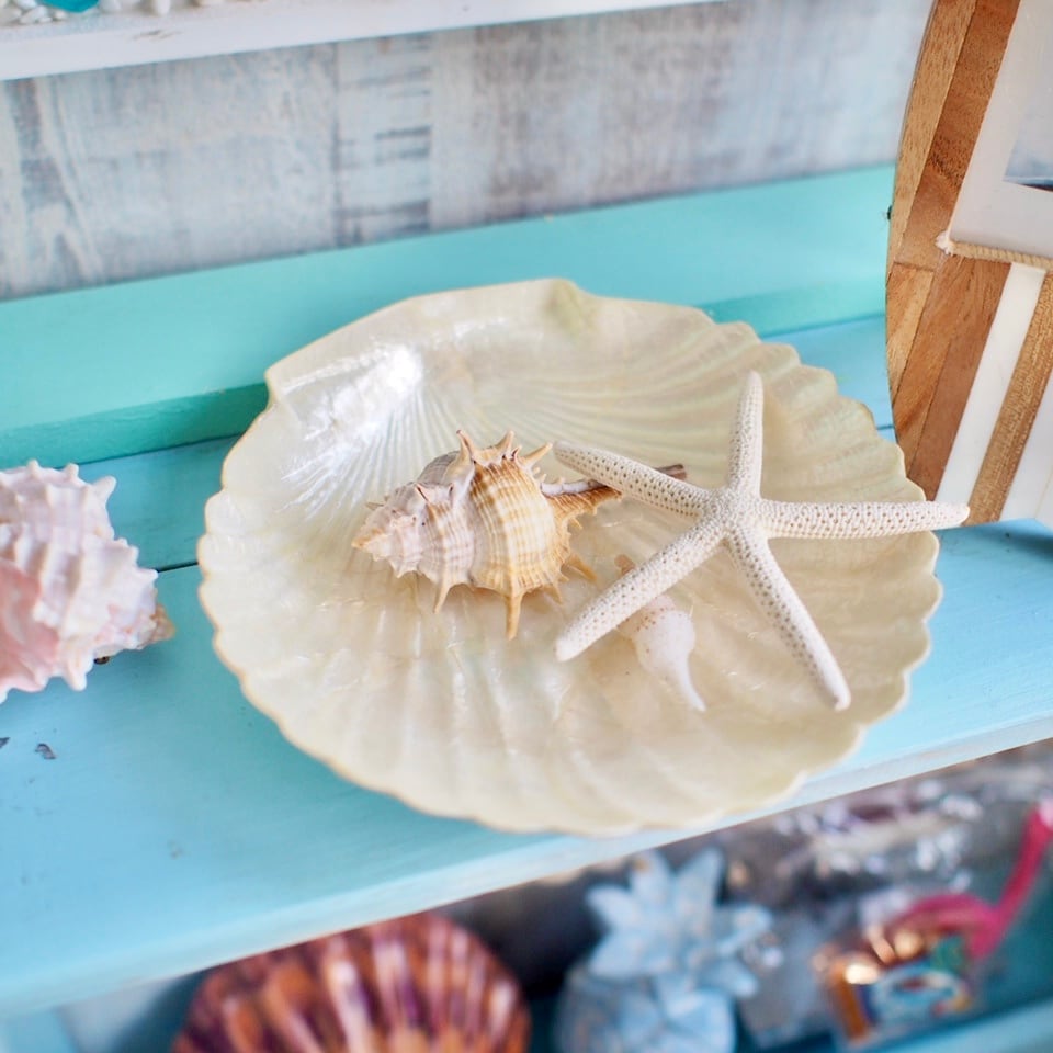 カピスシェルトレイ☆シェル型 | pupulani