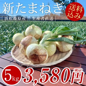 【A級品】野菜ソムリエサミット銀賞 新玉ねぎ 5kg 送料込み 3280円