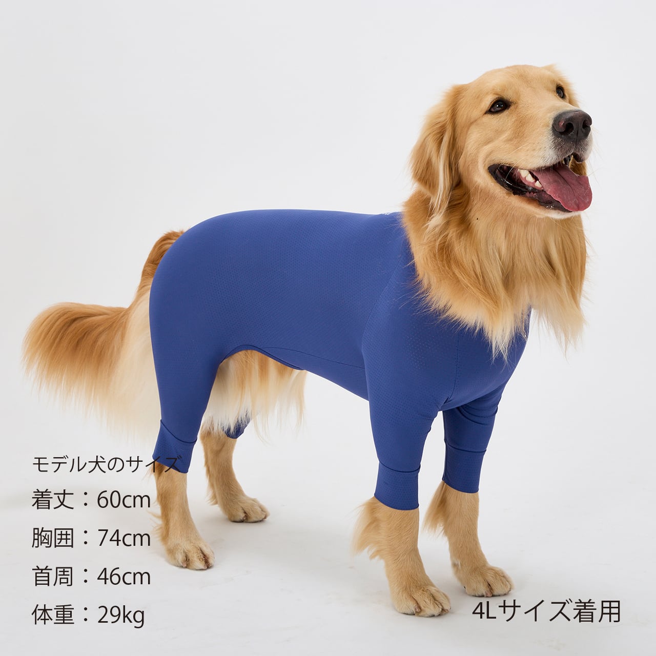 INSECT SHIELD SKIN TIGHT SUIT（3L,4L,5L） インセクトシールドスキン