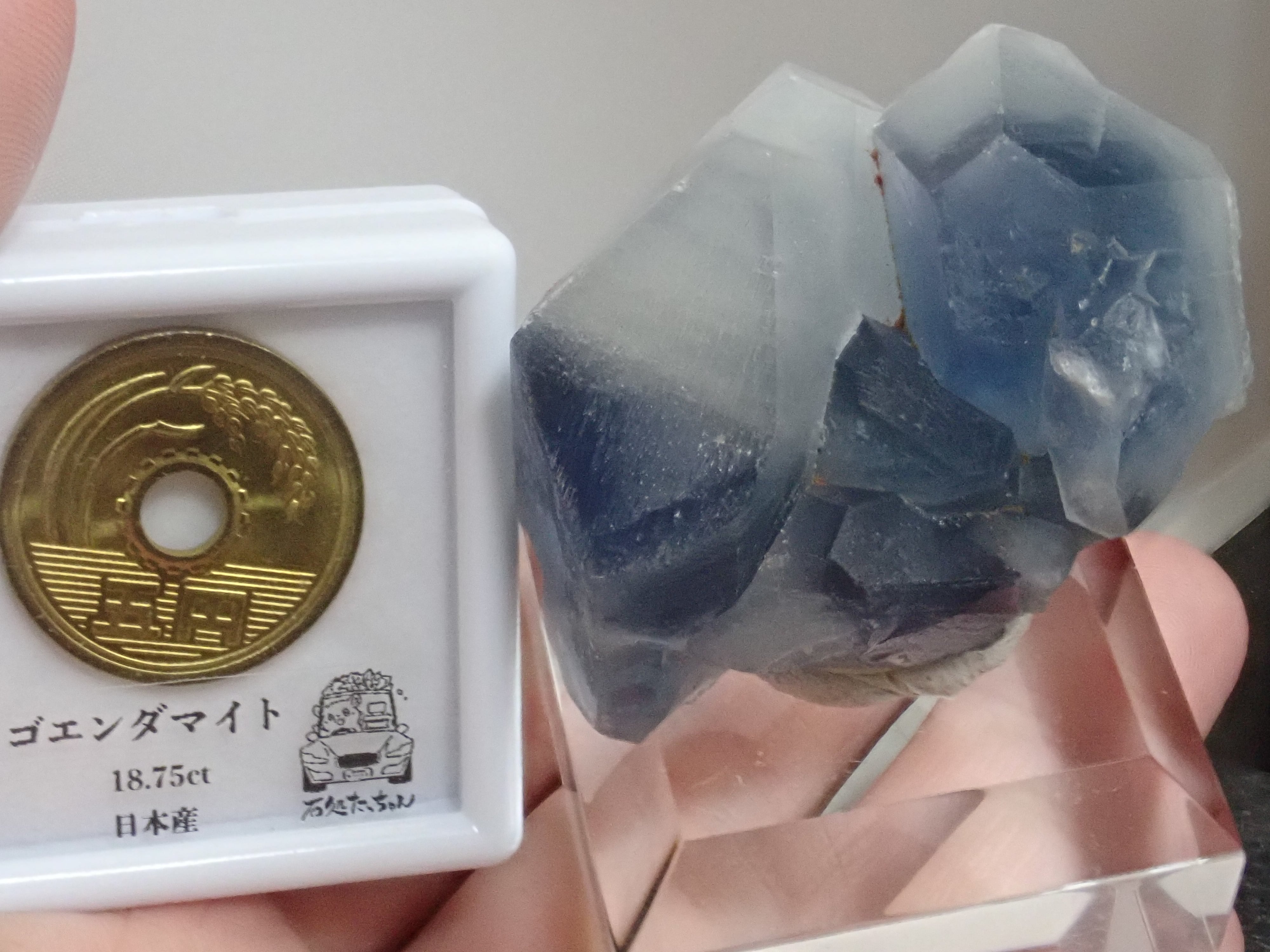 バイカラー】アフガニスタン産 セレスタイト 天青石 セレスティン 濃い
