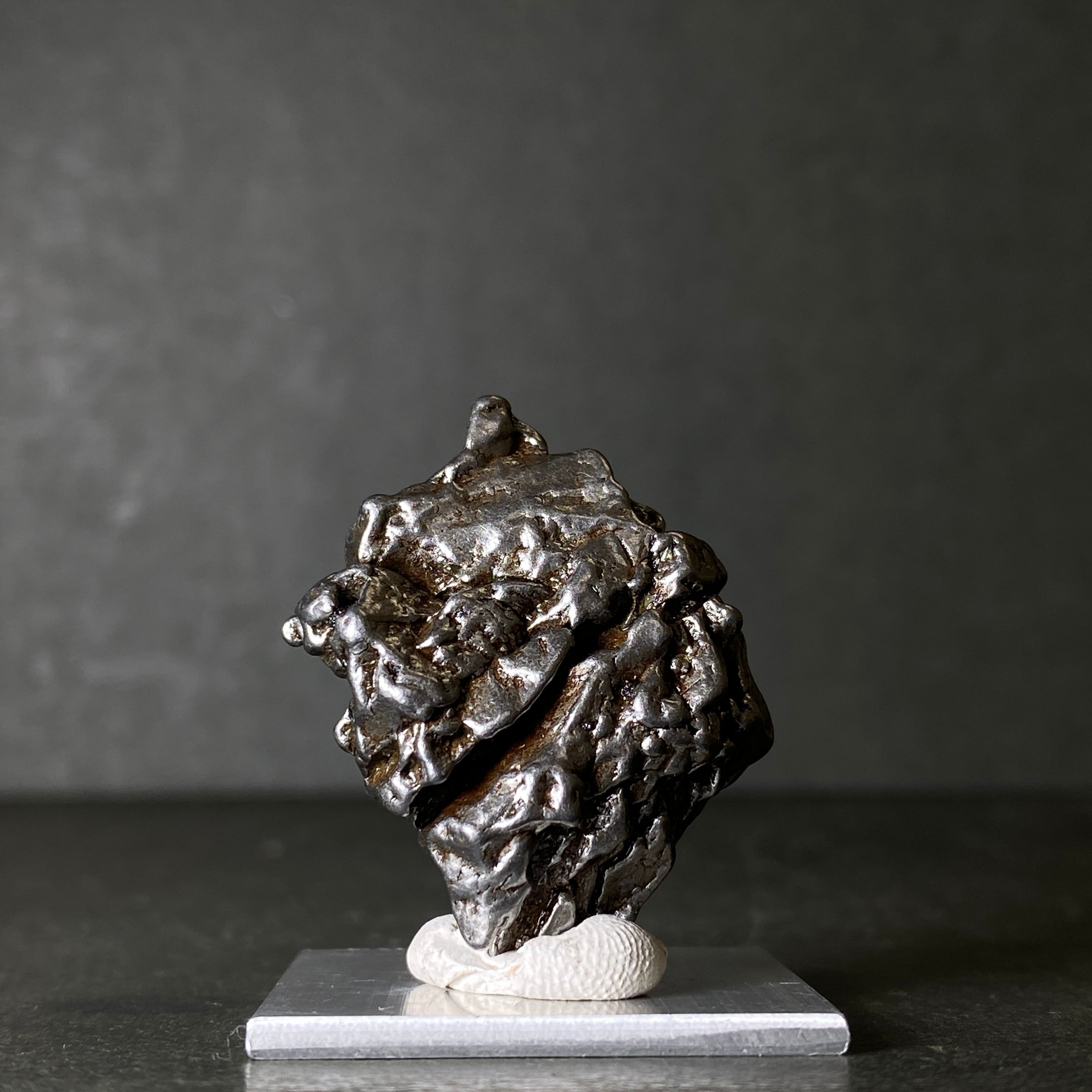 Campo del Cielo カンポデルシエロ | 【隕石屋】METEOS（メテオス）