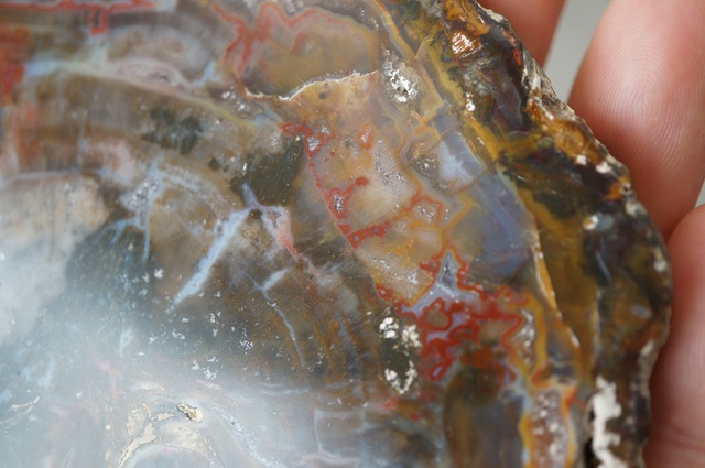 マダガスカル産ペトリファイドウッド Petrified Wood 2030