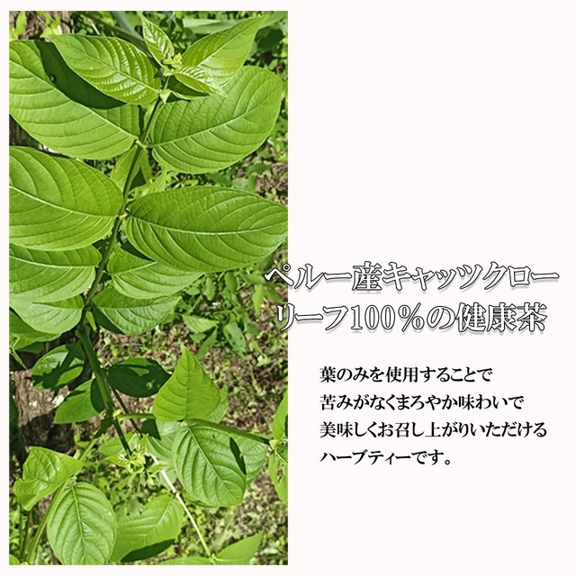 【１０％OFF／定期便／１ヶ月毎】キャッ茶３０包入　送料無料