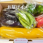 BBQ専用野菜セット　6人前