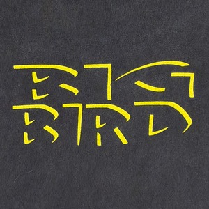 SESAME STREET 'BIG BIRD BLACK OUT' CHANGES XXL 1310