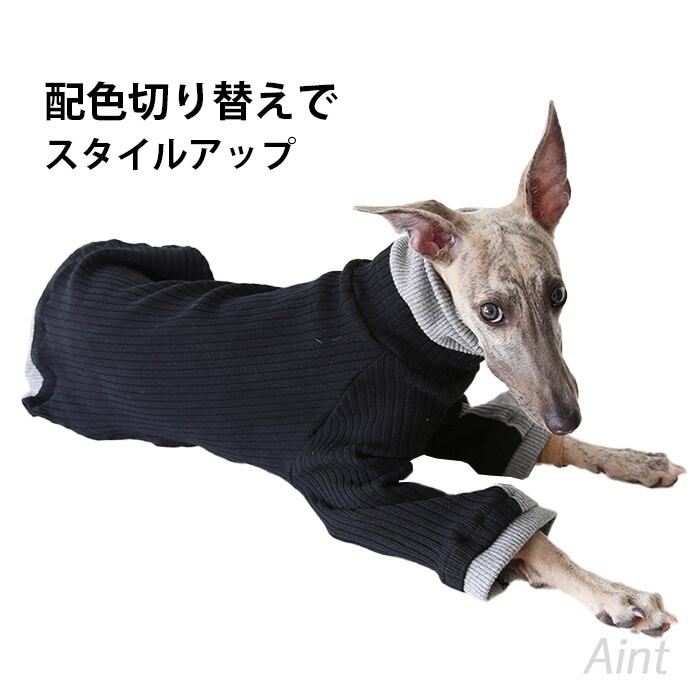 イタグレ Tシャツ ハイネック 配色切り替え 厚手 ウィペット ミニピン