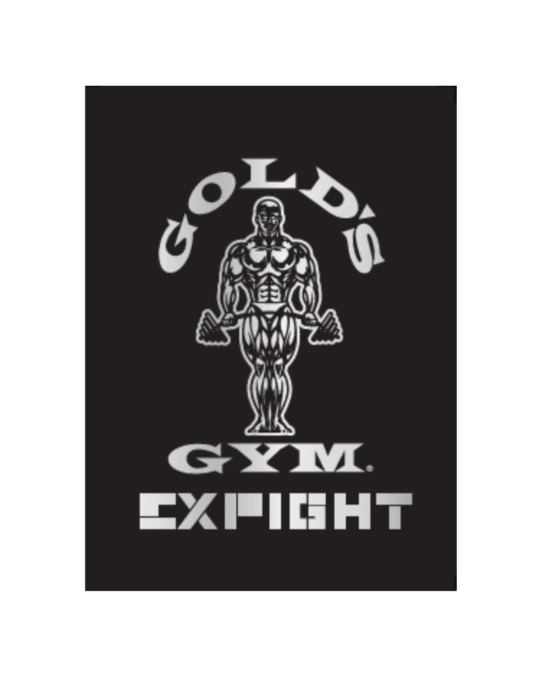 数量限定】GOLD'S GYM × EXFIGHT ステッカー（SILVER × BLACK） | EXFIGHT