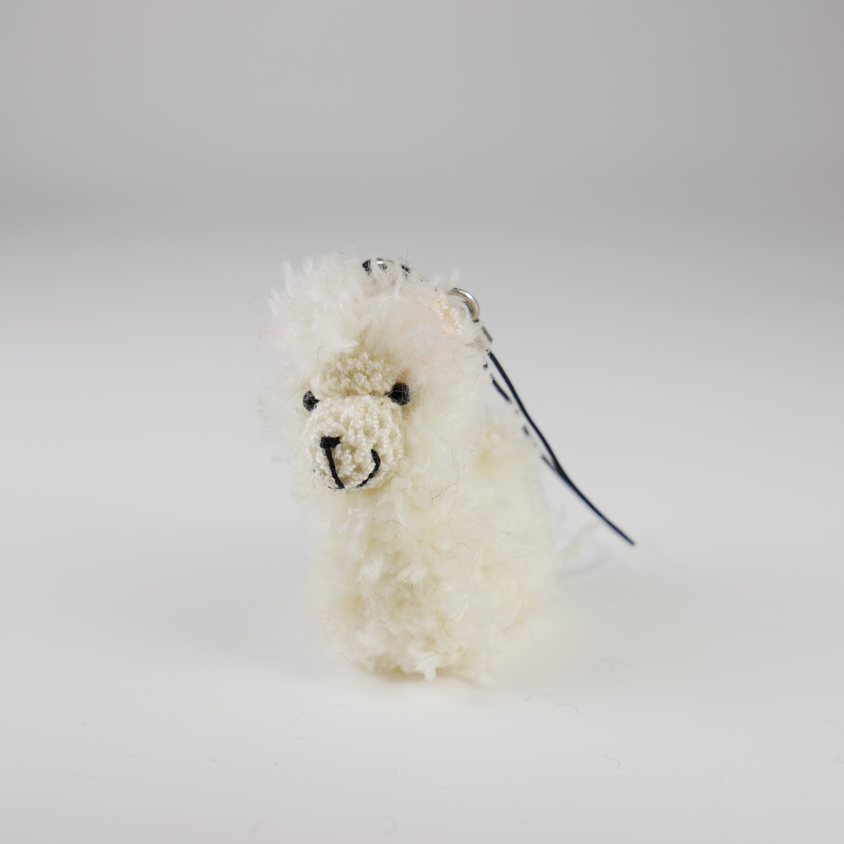 c5ea6f3baad02eeb15785eb64e9408