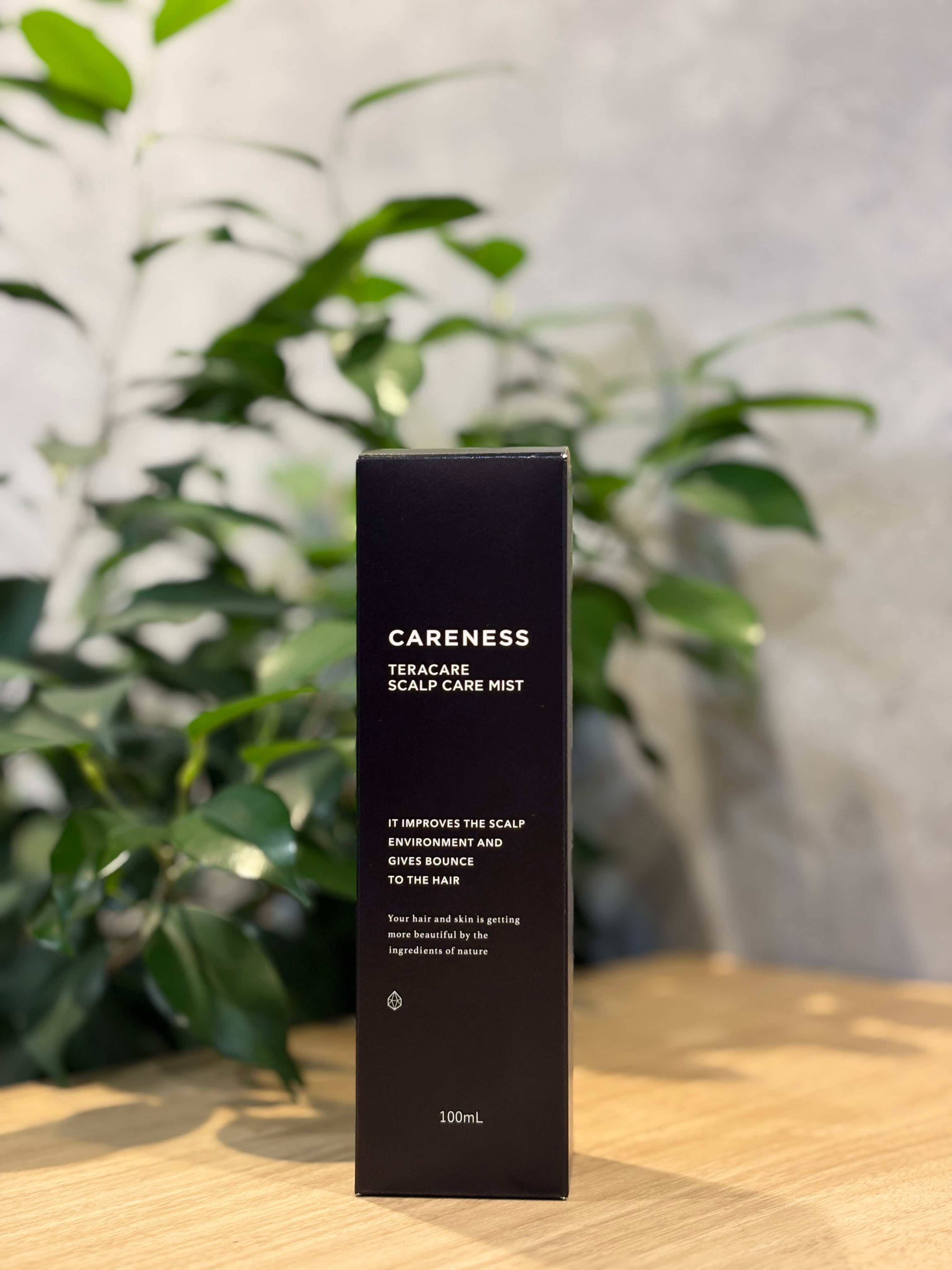 エステシモ トランクリー コンク∞ | BearFruit