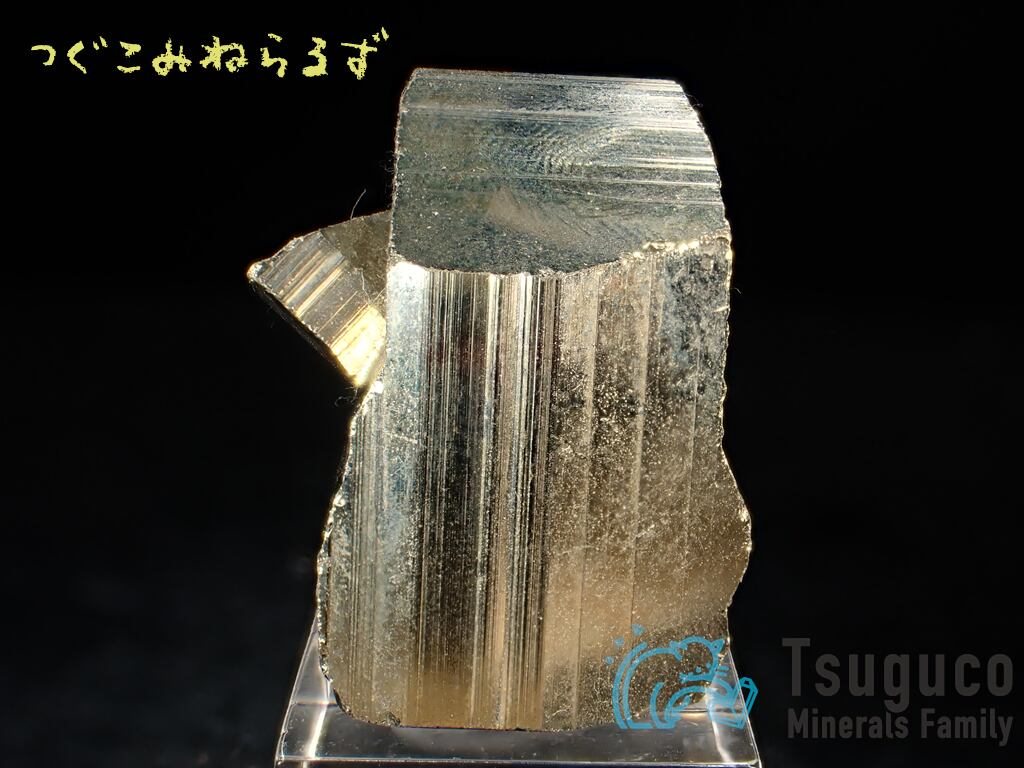 パイライト 黄鉄鉱 ペルー TM-1012 | つぐこみねらるず |鉱物 パイライト 黄鉄鉱 ペルー TM-1012 | つぐこみねらるず |鉱物