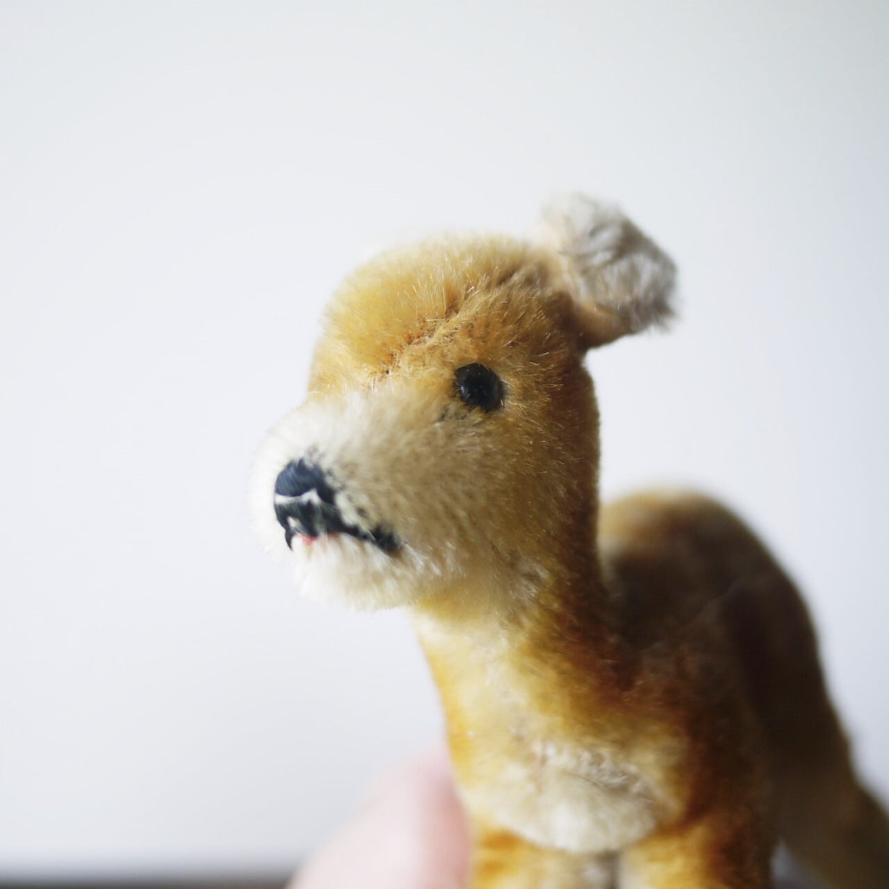 シュタイフ Jungreh 若い鹿 ドイツ | こりすのパン屋Base店 （世界の