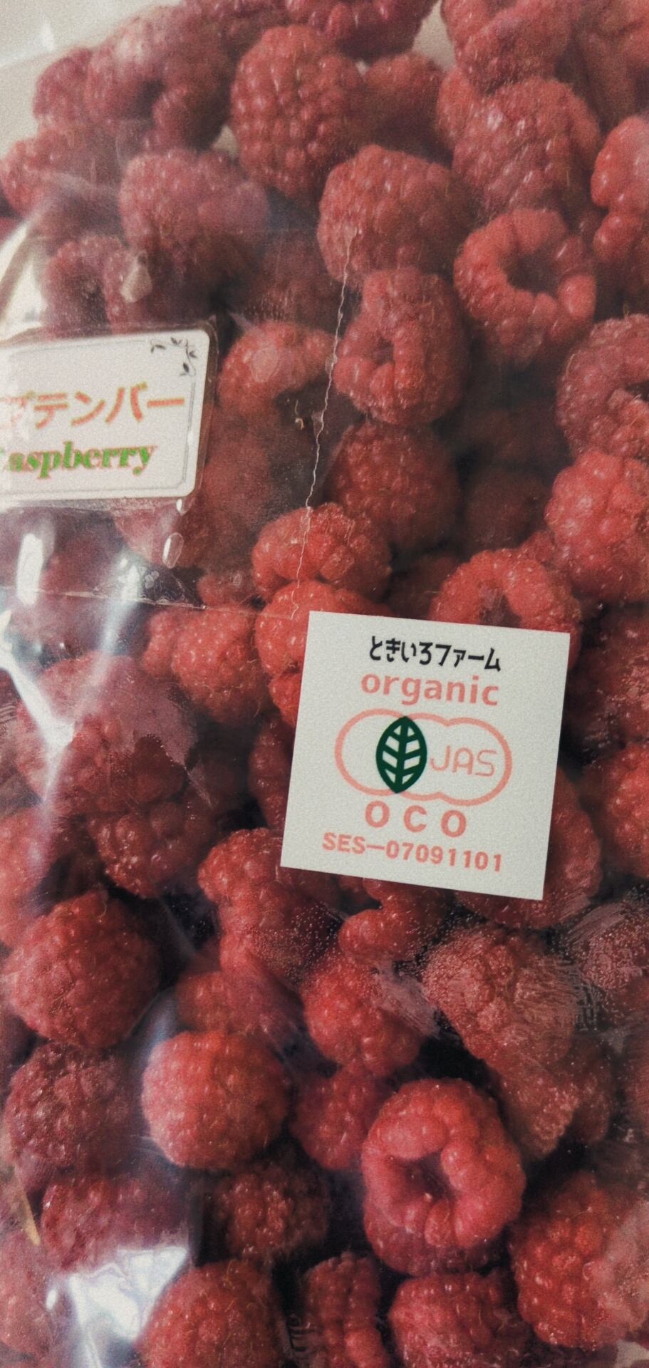 有機JAS認証取得】北海道十勝産冷凍ラズベリー 1kg | 十勝ときいろ