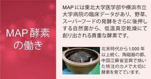ZEN生酵素 15包入／3袋【MAP酵素 / 野草】