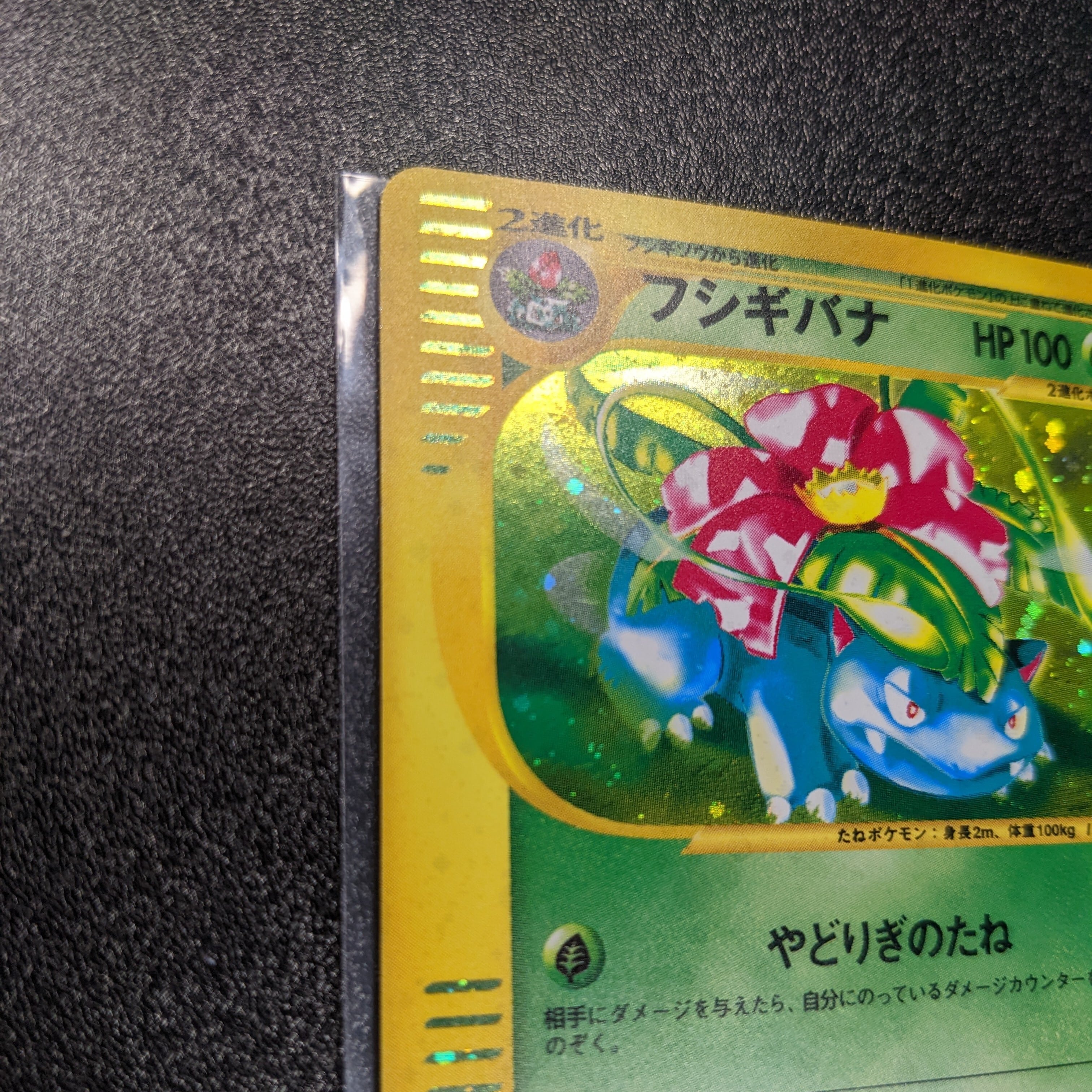 2022年新作 ポケモンカード トリプルゲットキャンペーン リザードン