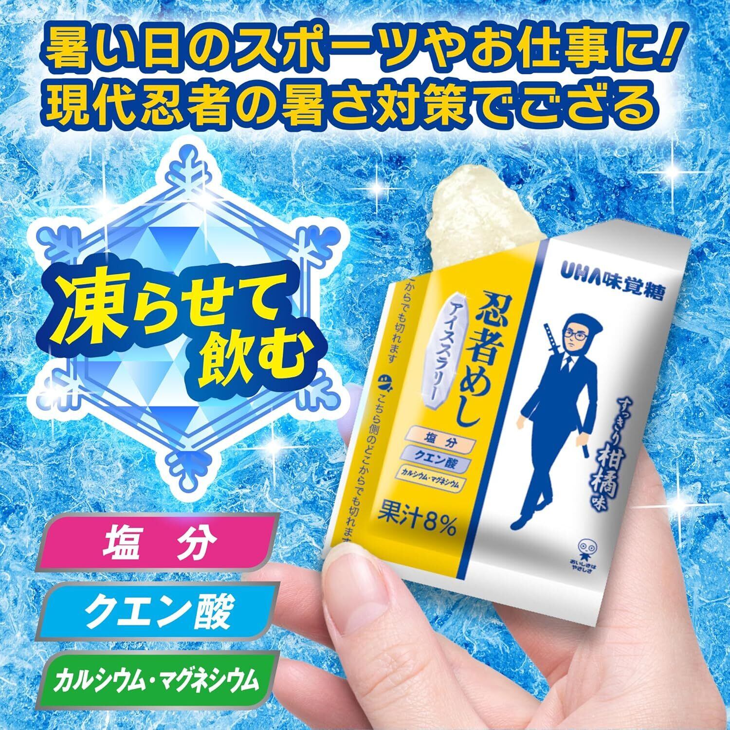 激レア！忍者アイルーでかストラップUHA味覚糖キャンペーン当選品2012年