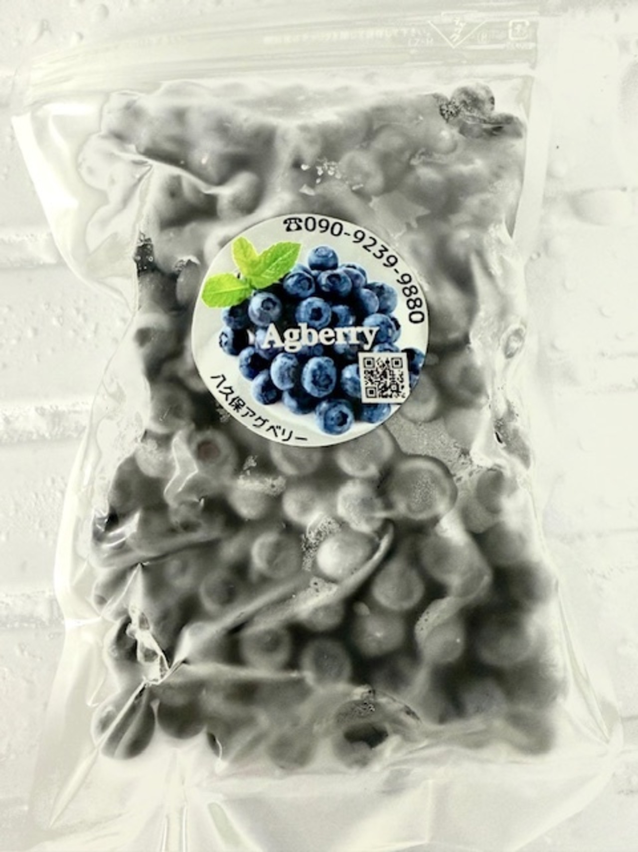 加工用　冷凍ブルーベリー500ｇ　極小　農薬不使用・画像2