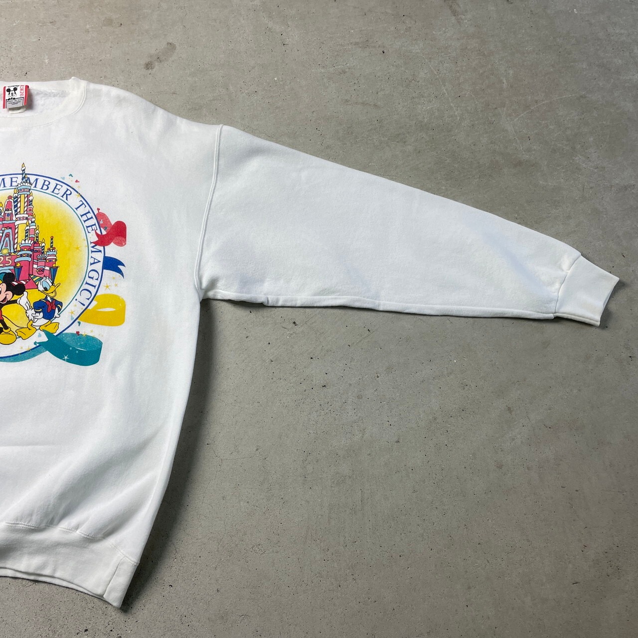 90年代 USA製 Walt Disney World 25周年 ディズニー スウェットシャツ 