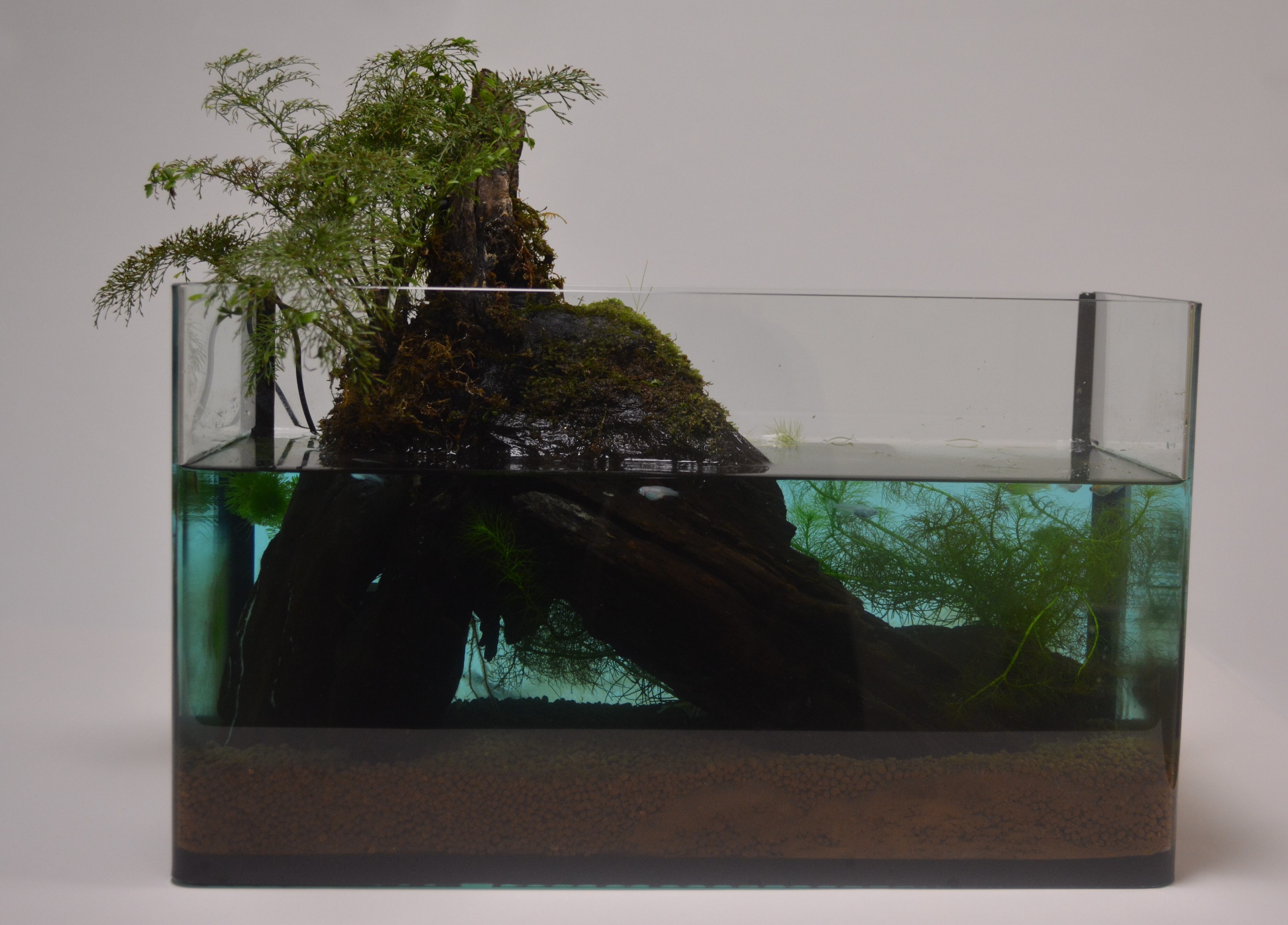 Roost 吹き流し網 マルチネット 水切り付 錦鯉 アロワナ