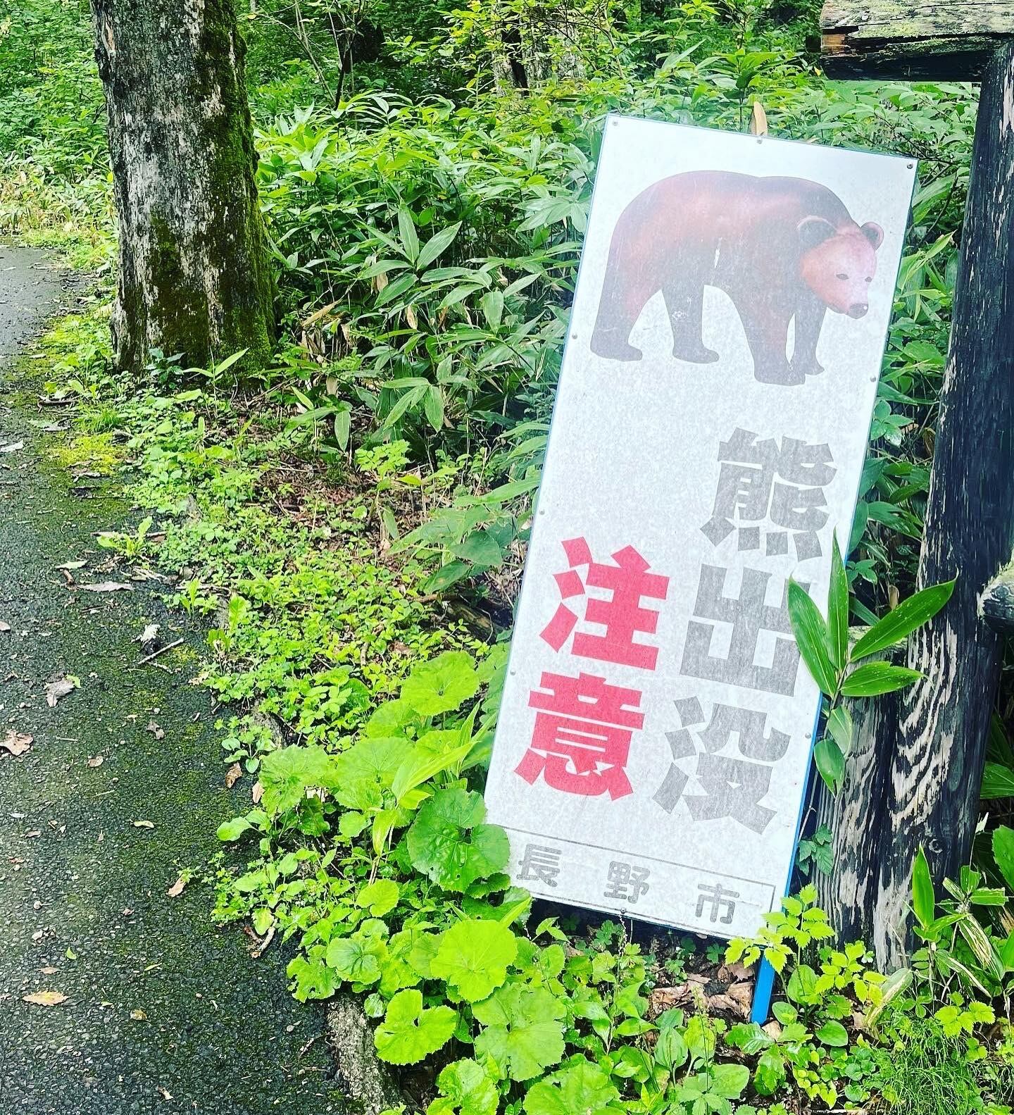 長野県戸隠 竹細工 梅干し干しざる 特大ざる 収穫かご 丸型 | うつわのわ田