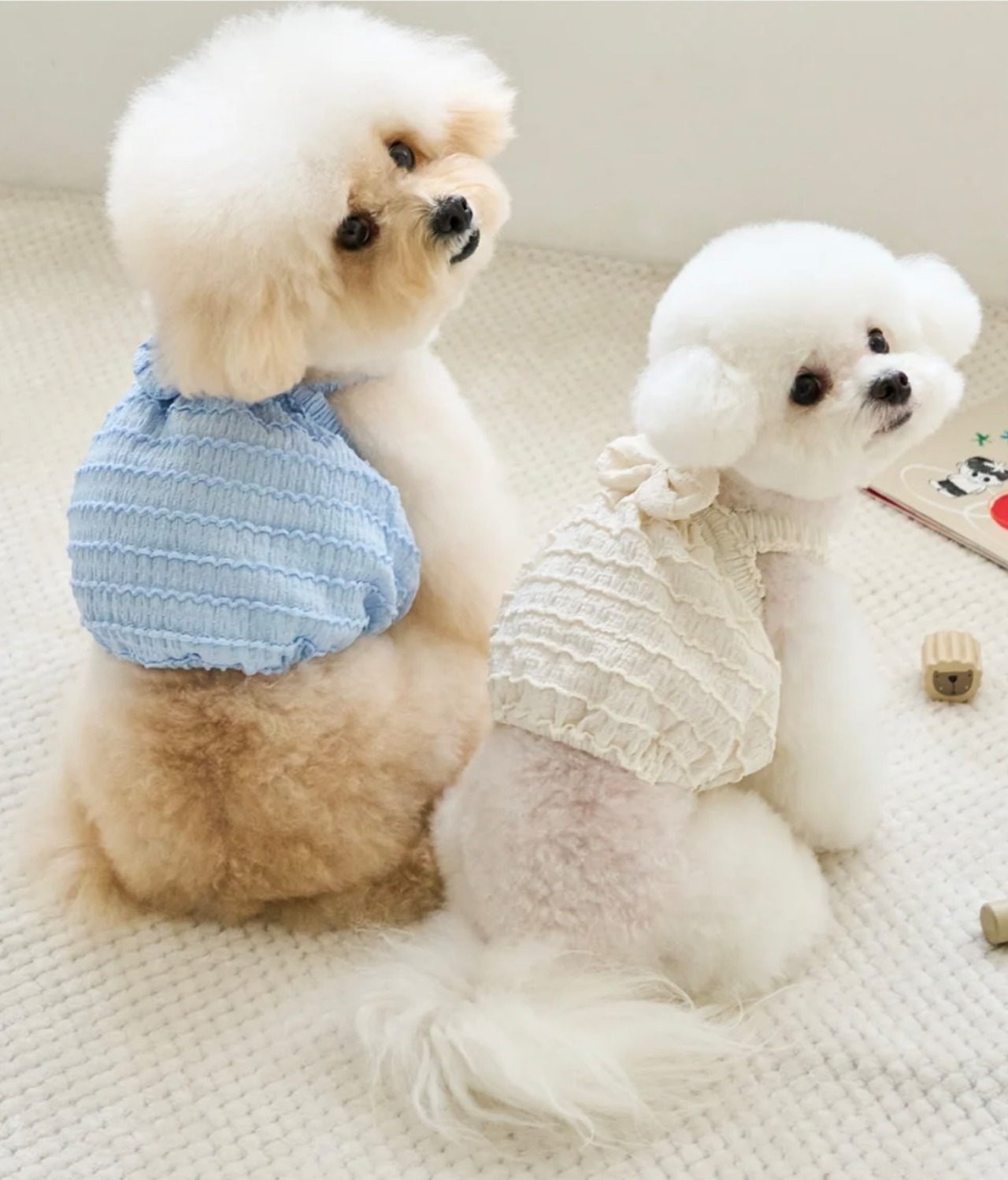 即納【BENNYS】 MISTY CROP TOP (SKYBLUE)