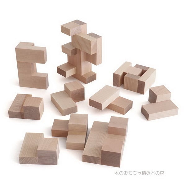 童具館 WAKU-BLOCCK45 ペアブロック 積み木 限定商品 | 木のおもちゃ