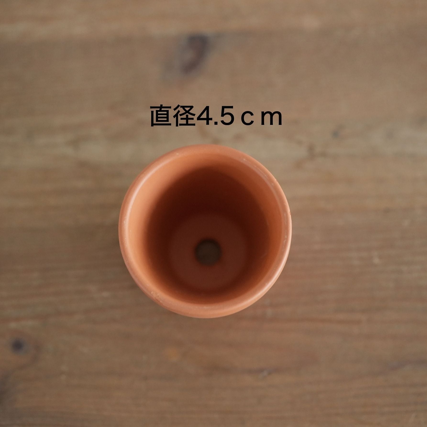 小さな植木鉢【5個セット】 | 苔テラリウム専門ショップ道草