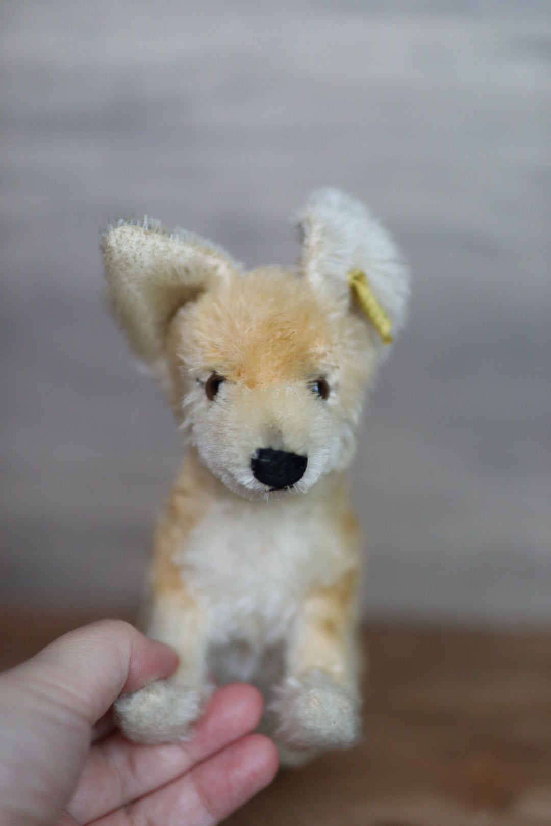 アンティーク シュタイフ きつね Xorry 17㎝