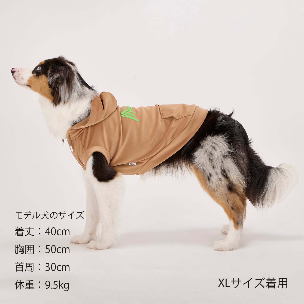 SILKY HOODIE（M.MD.L）シルキーフーディー マンダリンブラザーズ