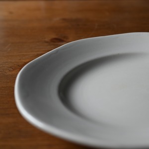 SARREGUEMINES  Plate / サルグミンヌ プレート【B】〈 フランス食器・皿・フランスアンティーク・アンティークプレート・ブロカント・ヴィンテージ 〉113601