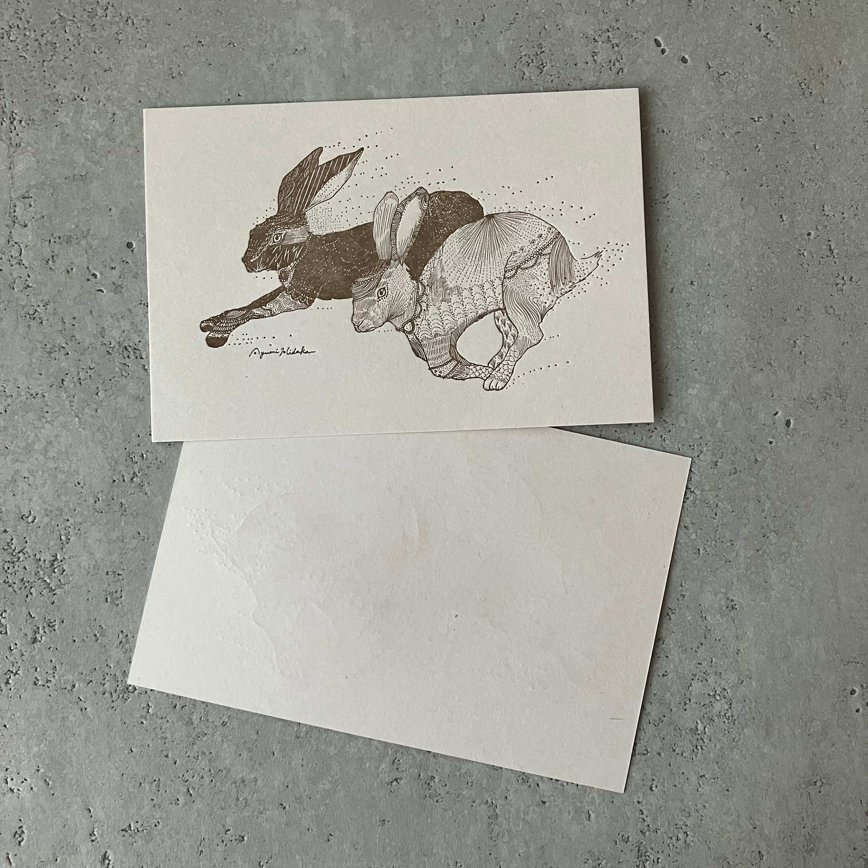 ひとつになるウサギ』の活版印刷ポストカード | 日高あゆみ