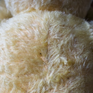 Teddy Bear / テディベア〈 ぬいぐるみ・くま・オブジェ・ディスプレイ・アンティーク・ヴィンテージ 〉