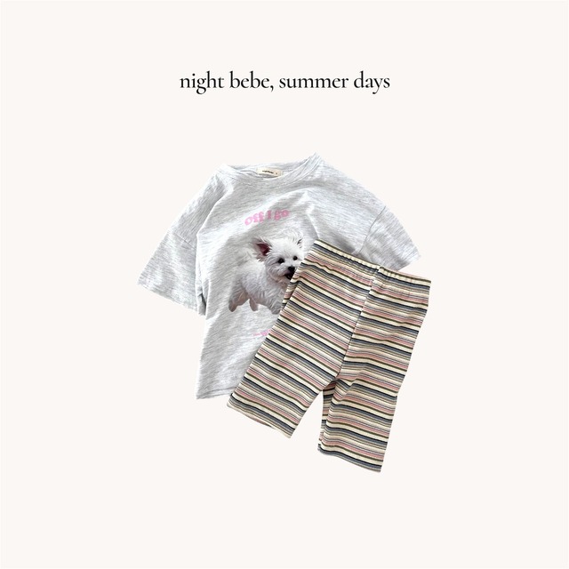 〘予約〙nightbebe / Maltipoo T