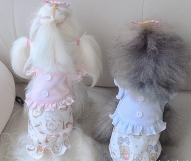 《予約》1102150 タイニーフレキシブルトップス