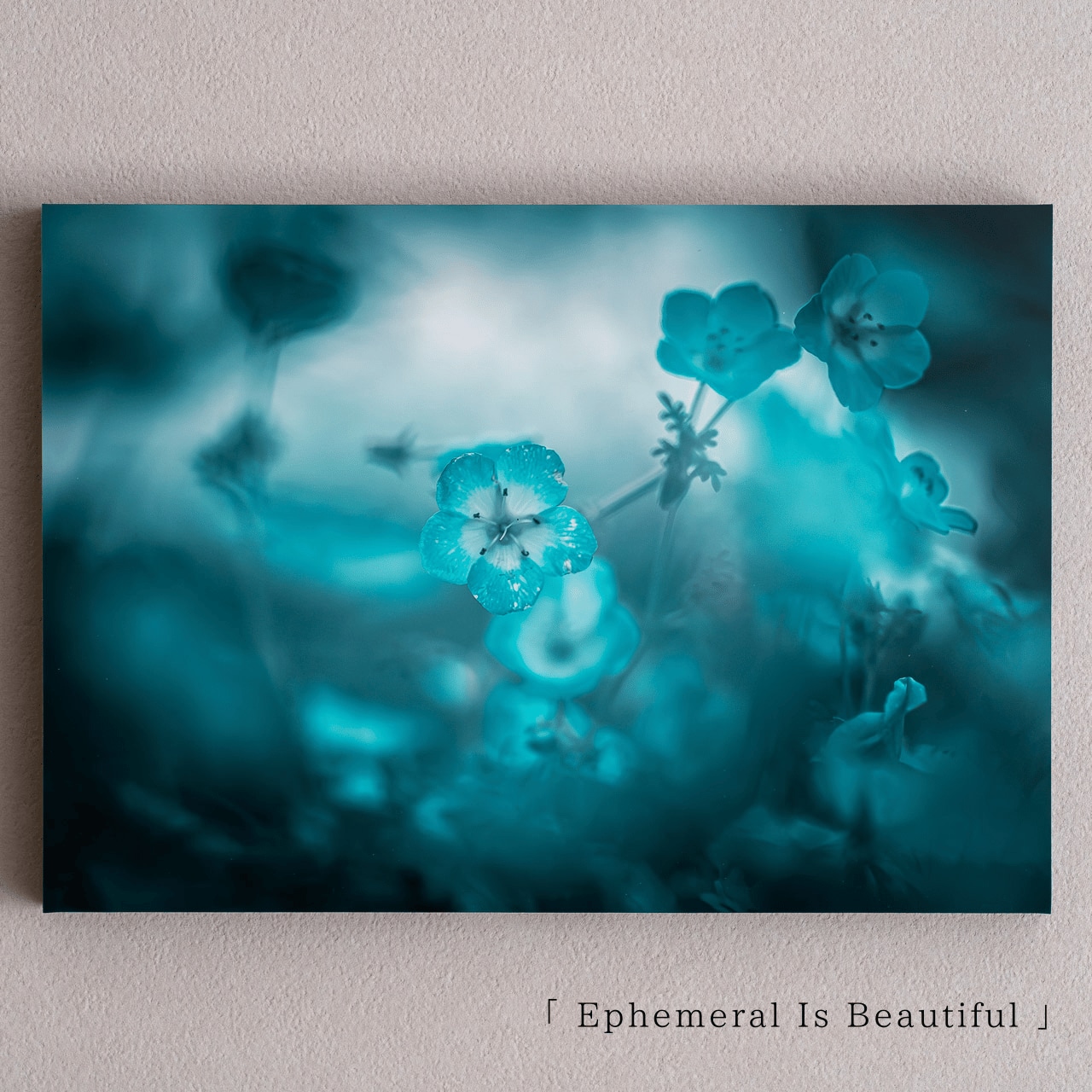 【OPEN記念・数量/期間限定】Ephemeral Is Beautiful