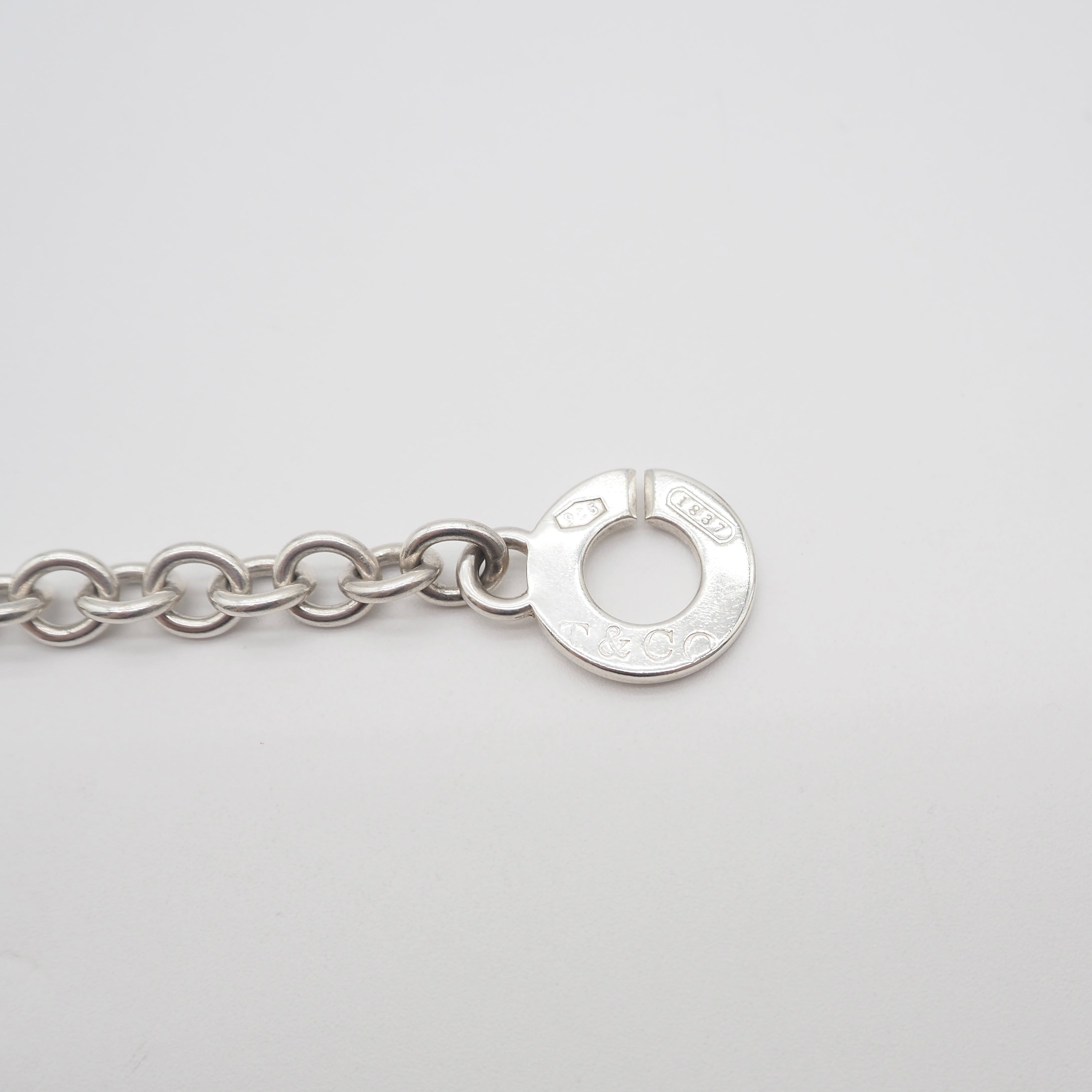 Tiffany&Co. 1837サークルクラスプ ネックレス シルバー925