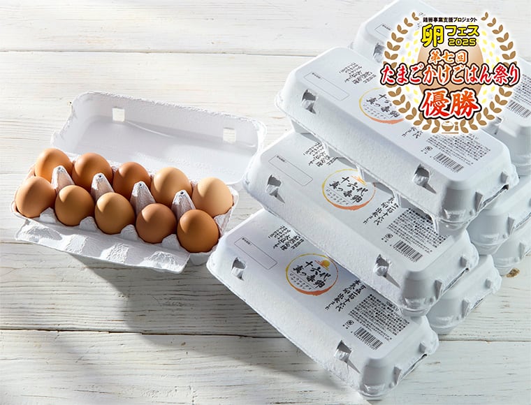 十六代真っ赤卵（6パック）【ありがと割引付】 | AMALAND