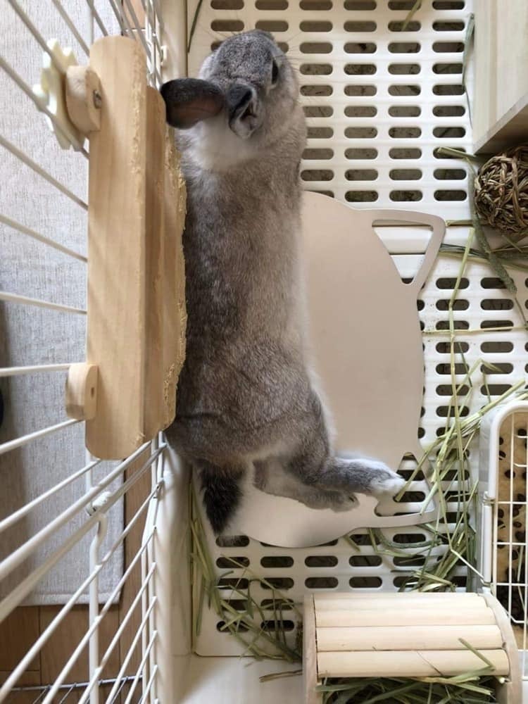 ねこの寝床（M） ひんやりエコシート 涼しい 冷却 アルミプレート 猫