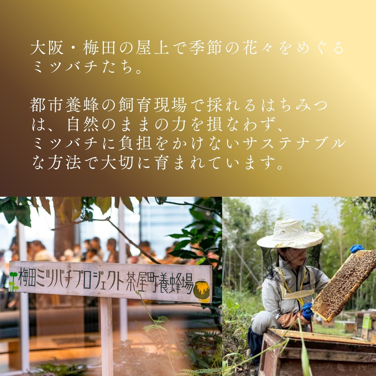 《蜜菓子》2025年新発売｜大阪梅田はちみつ檸檬のど飴