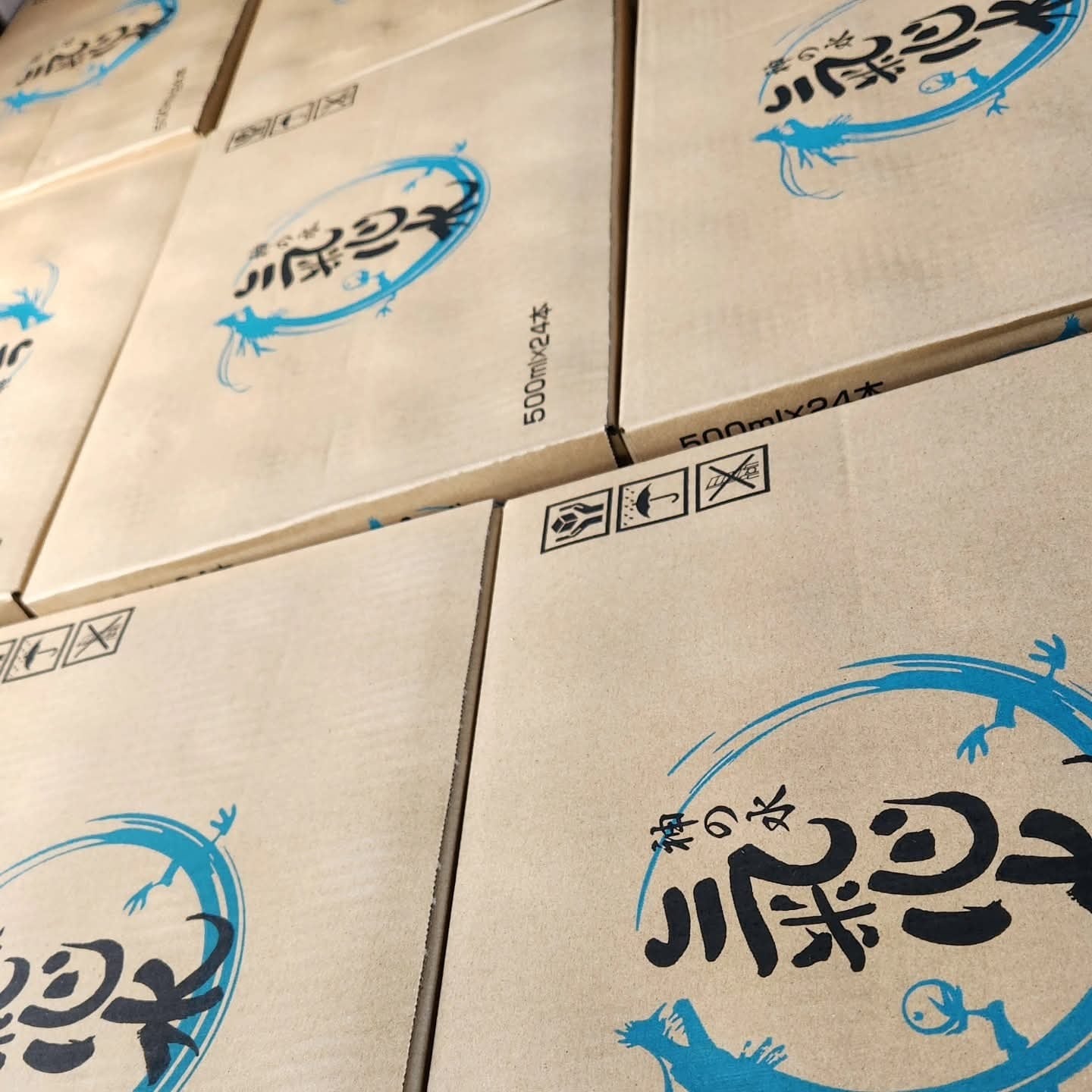 おまとめ氣心水(10ケース)