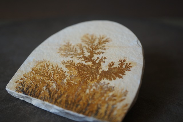 デンドライト 忍石 Dendritic limestone 1307