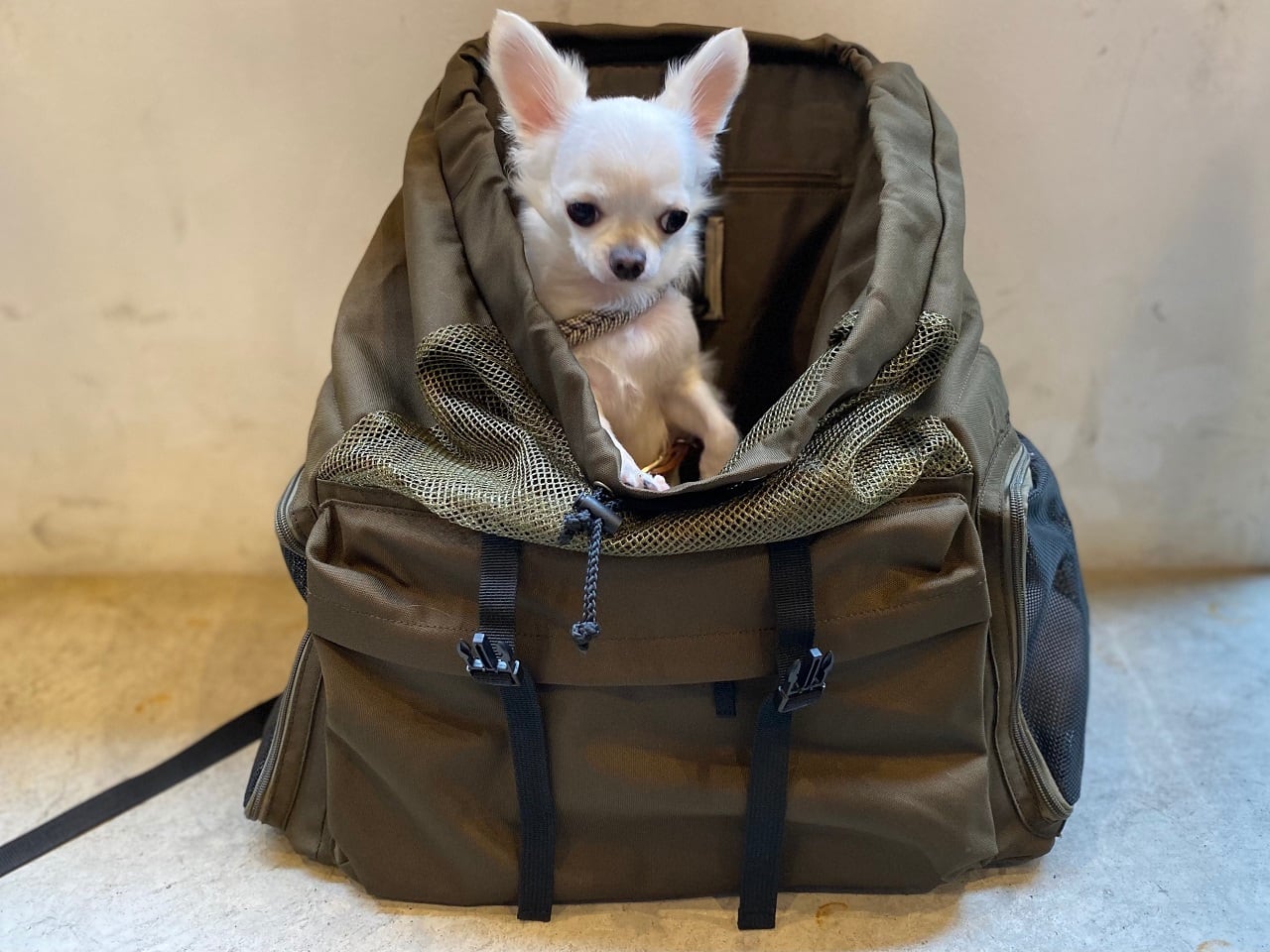 ペットキャリーリュック ・カーキ（BACK PACK PET CARRIER） | Quuuuu