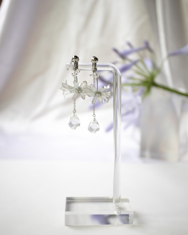 " 夏隣 ( natsudonari )agapanthus "