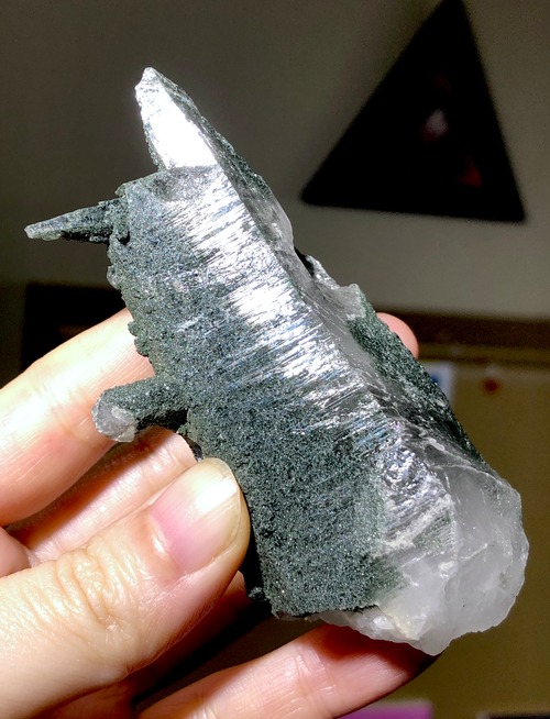 世界への認知が一変するマスターからの叡智